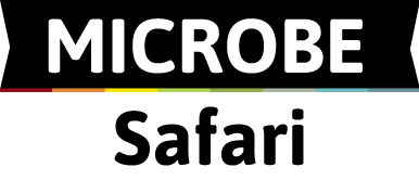Microbe Safari Logo